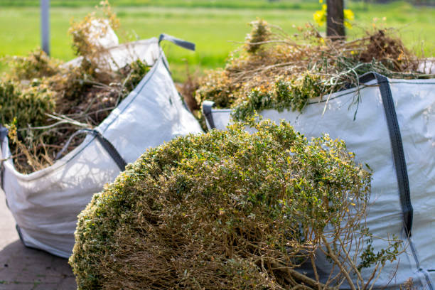 Shed Removal in Riviera Beach, MD